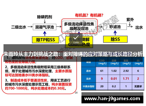 朱雨玲从主力到挑战之路：面对障碍的应对策略与成长路径分析