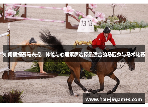 如何根据赛马表现、体能与心理素质选择最适合的马匹参与马术比赛